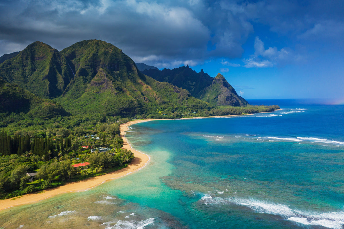 Feel-Good Hawaii Finds to Bring the Aloha Spirit Home