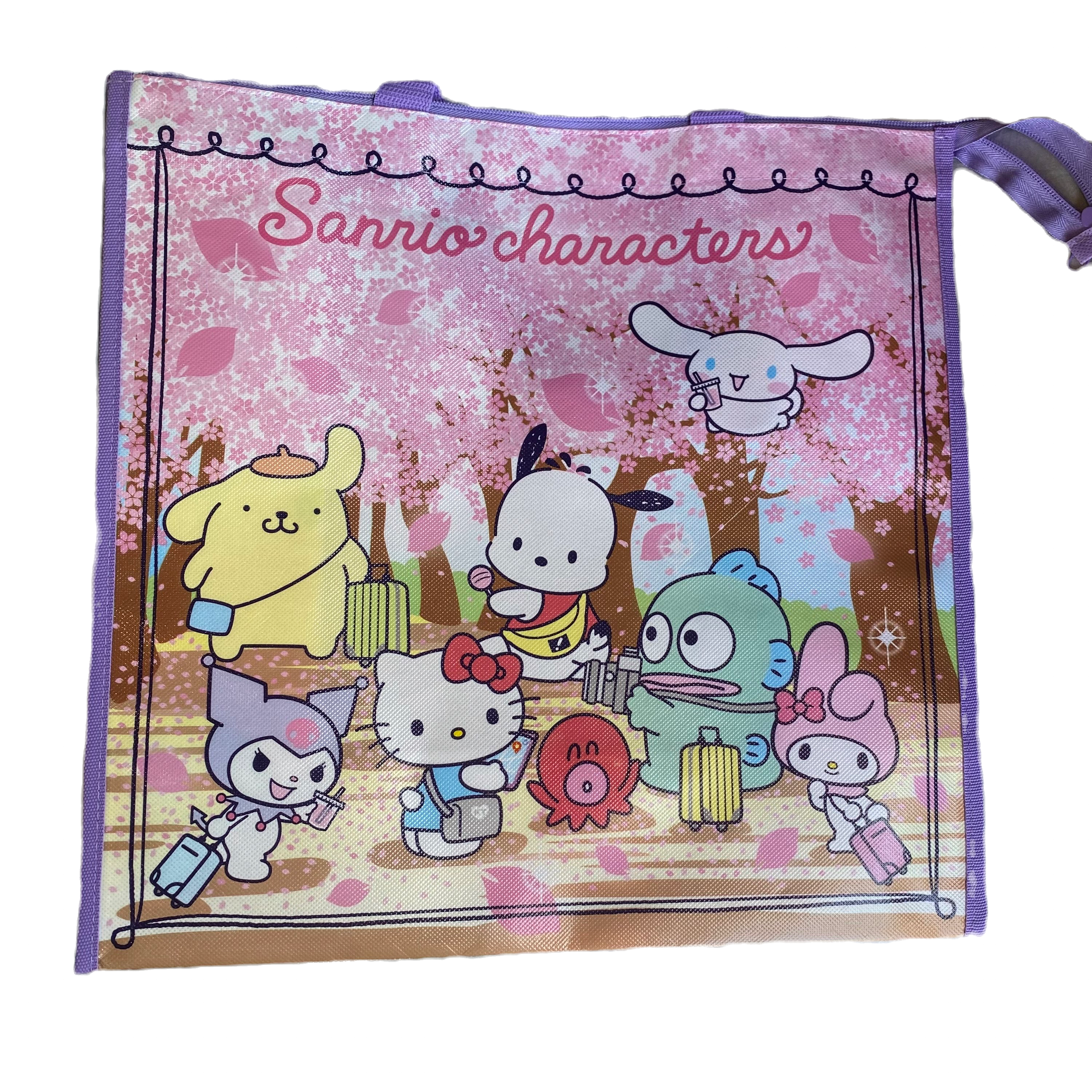 Hello Kitty Sanrio Characters Tote Bag From Japan
