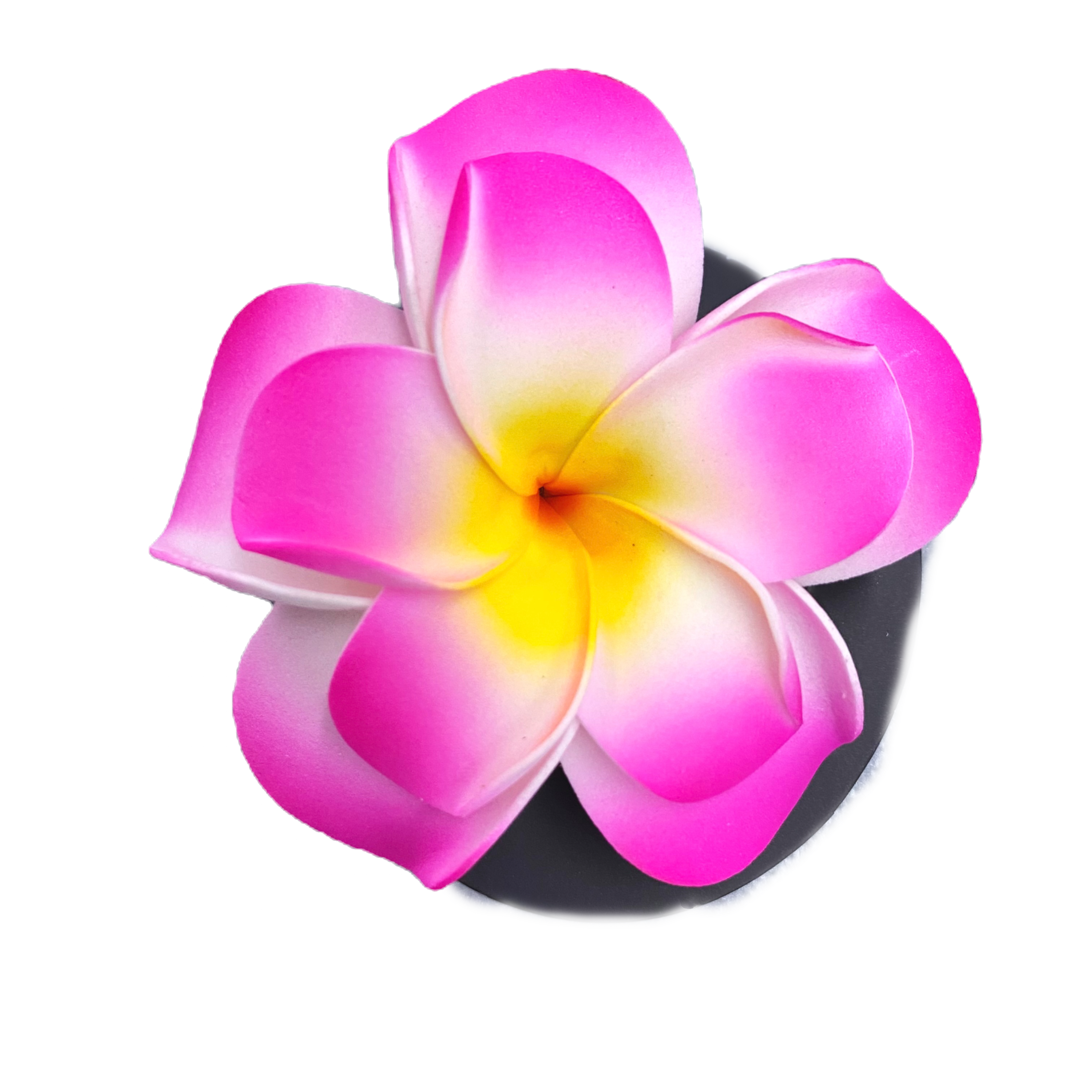 Hawaii Pink Plumeria Hair Clip